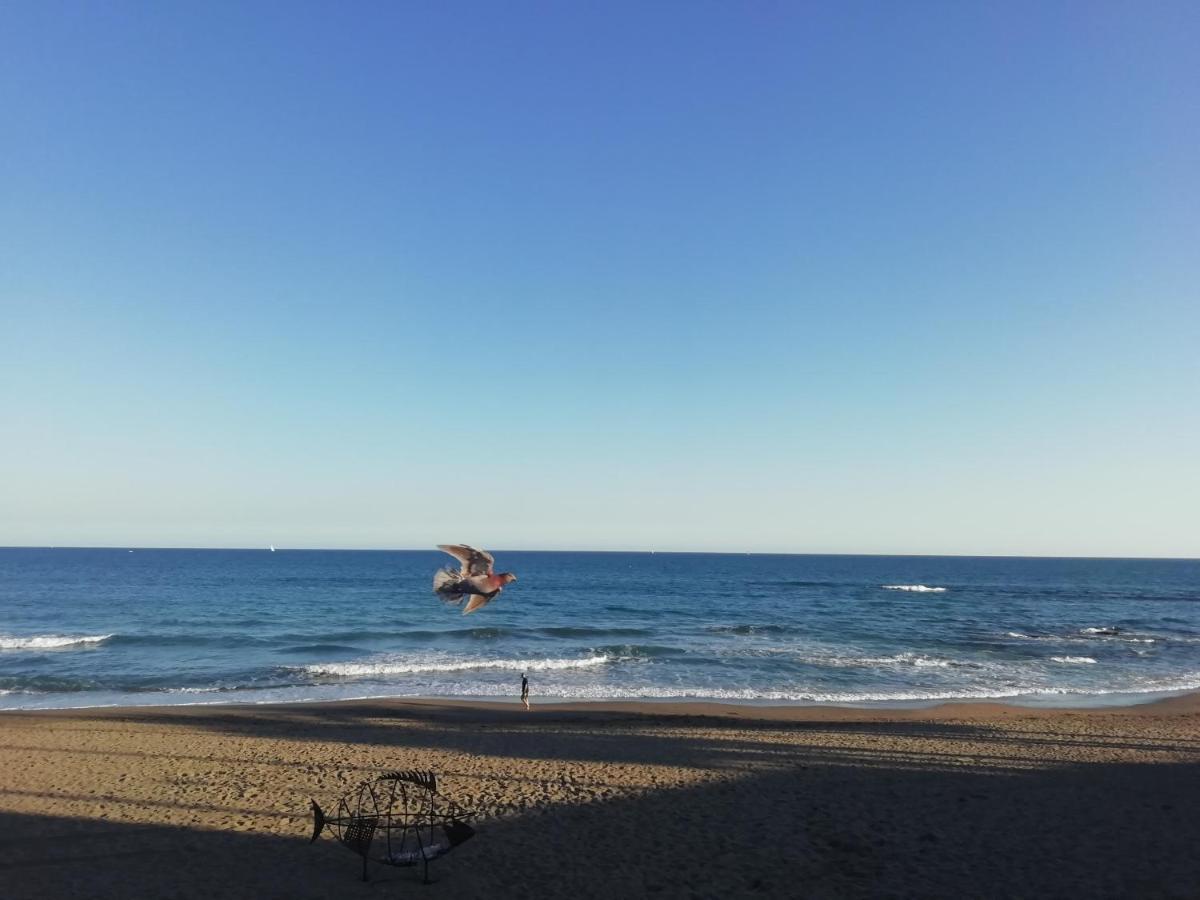 Apartamento-Estudio Benalmadena Maite-3 外观 照片